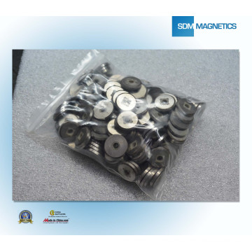 China ISO/Ts 16949 Certificated Permanent Magnet